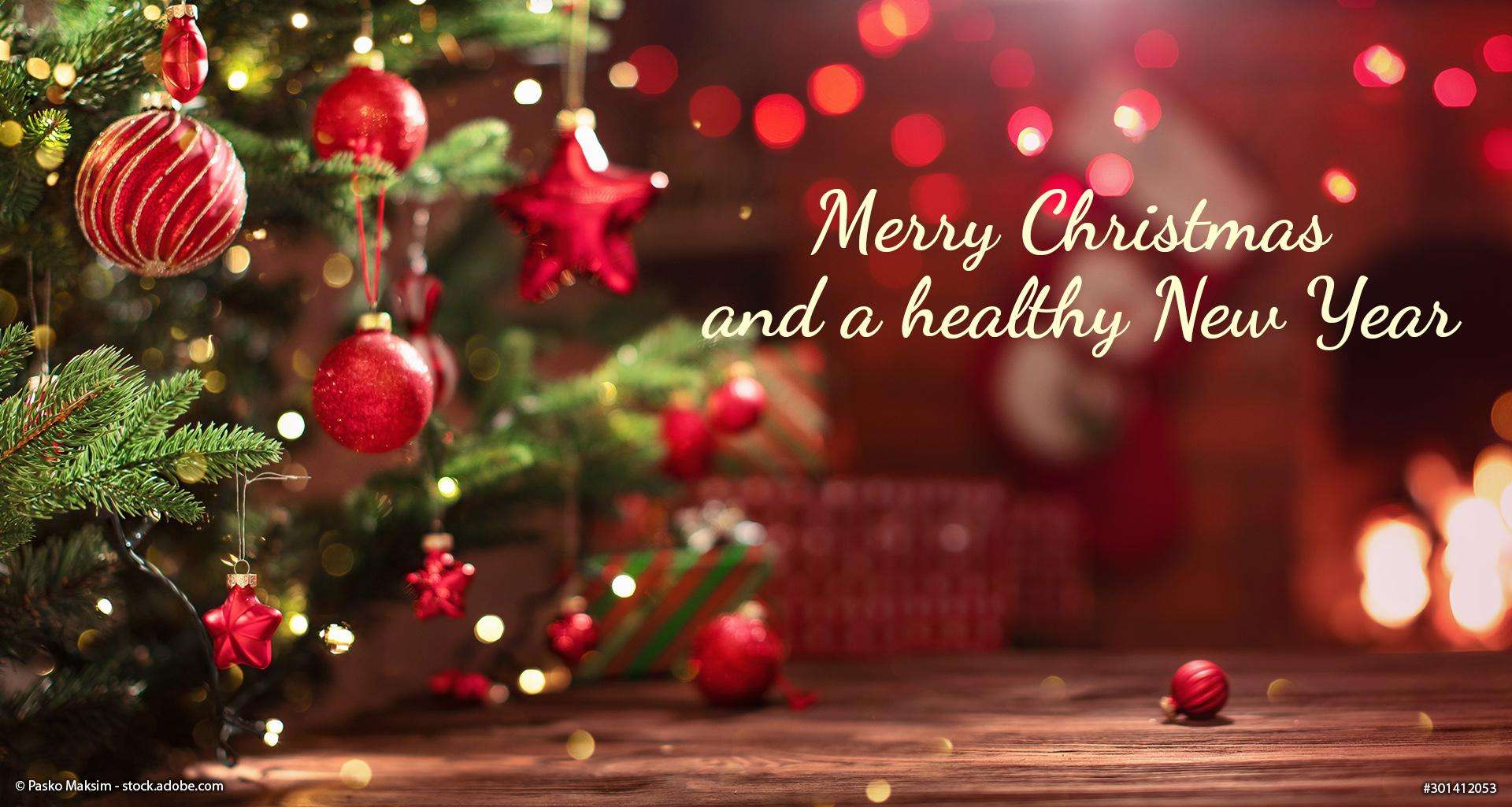 Have a Merry Christmas and a Happy New Year