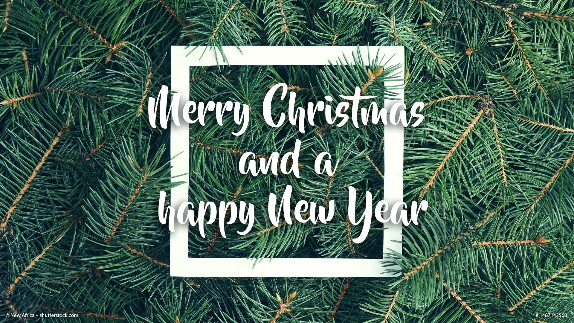 Merry Christmas and a happy new year 