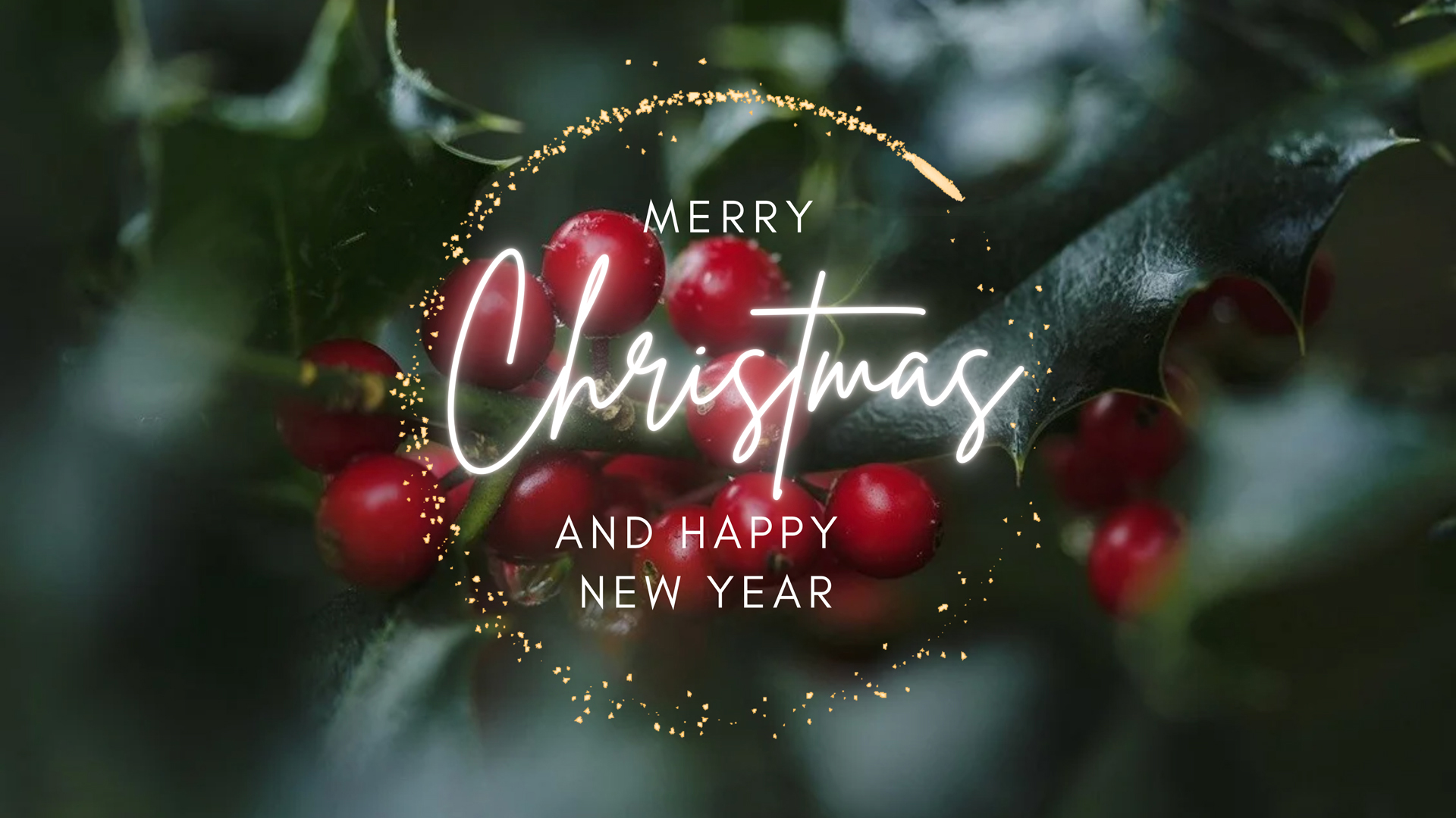 Merry Christmas and a happy new year