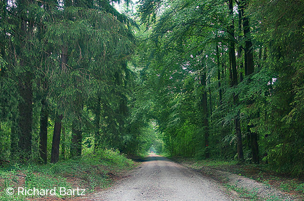 Immobilie Taufkirchen: Rotdornweg-Taufkirchen - Umgebungsbild 3 Immobilie Taufkirchen: Rotdornweg-Taufkirchen - Umgebungsbild 3