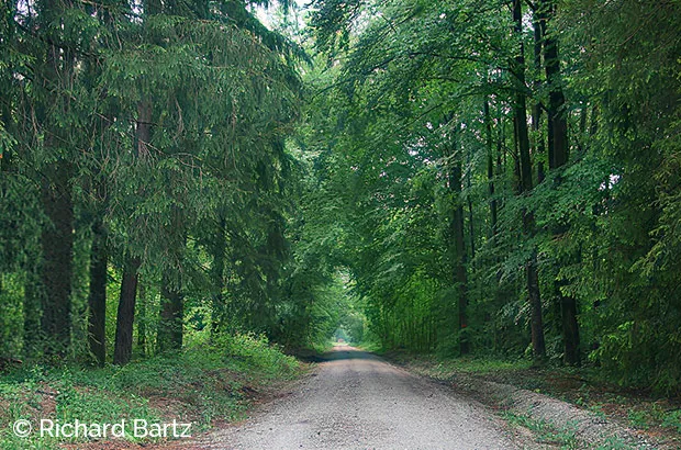 Immobilie Taufkirchen: Rotdornweg-Taufkirchen - Umgebungsbild 3