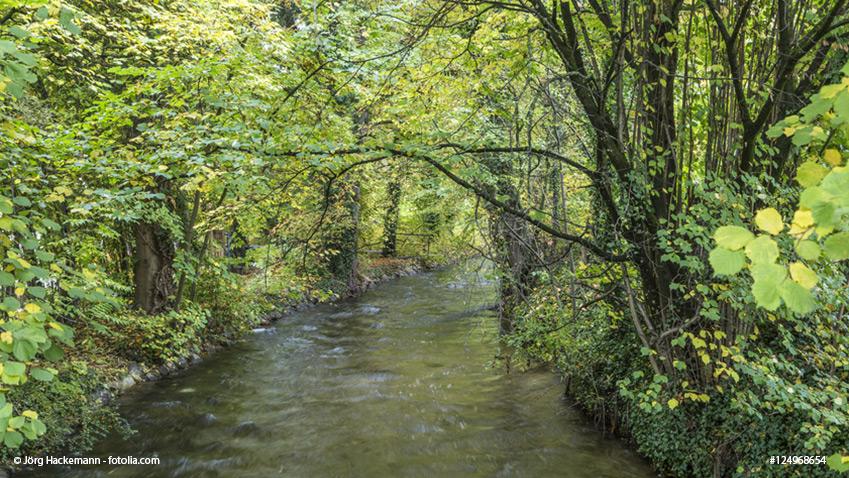 The Munich metropolitan region as a great place to live: Allach-Untermenzing