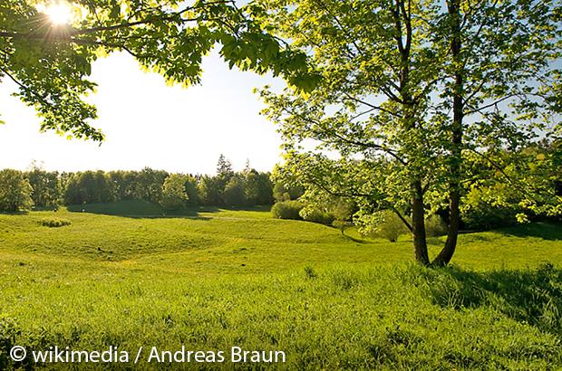 Property Mein Aubing - am park - surrounding image 1